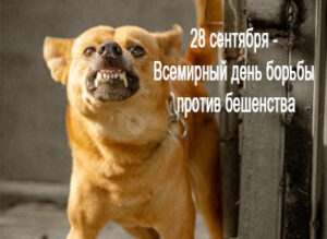 28 сентября - Всемирный день борьбы против бешенства